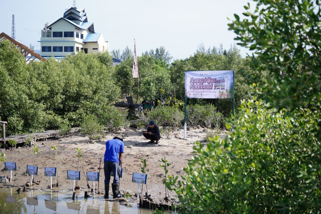 whatsapp image 2025 10 08 at 16.19.58