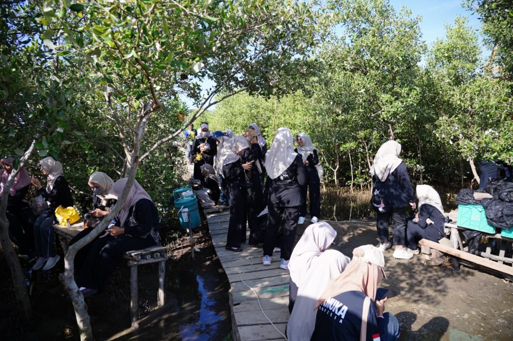 whatsapp image 2025 10 08 at 16.21.50