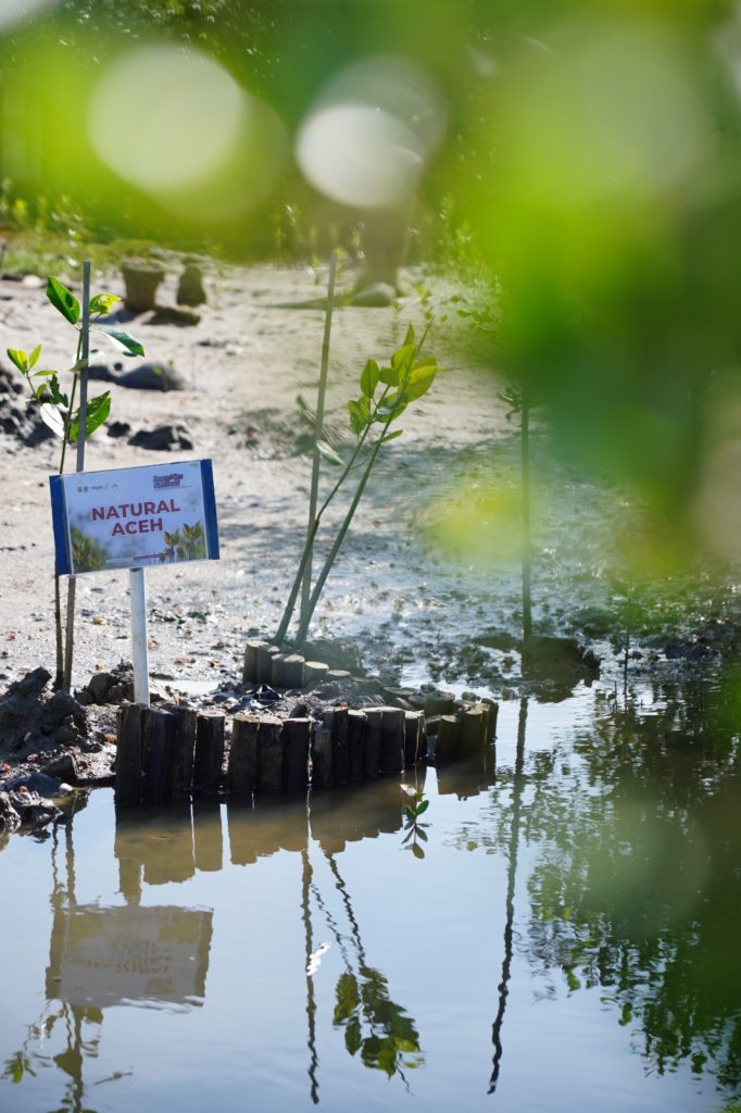 whatsapp image 2025 10 08 at 16.26.46