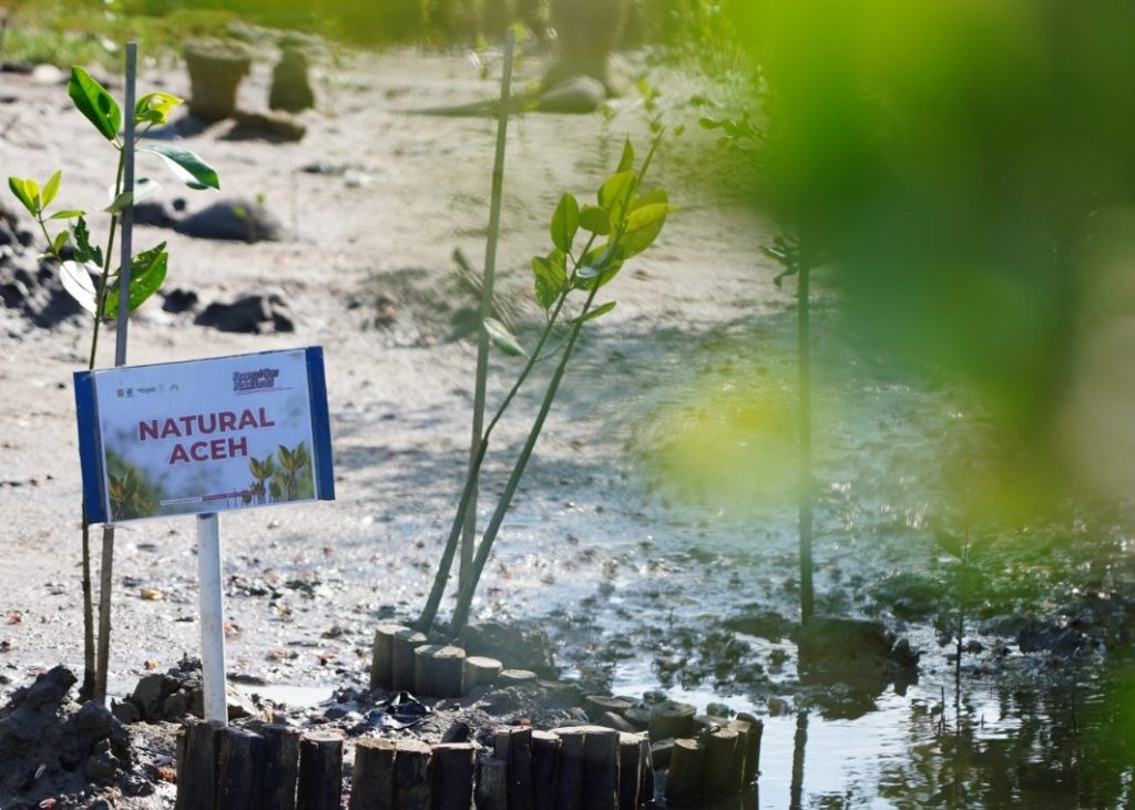 whatsapp image 2025 10 08 at 16.26.46