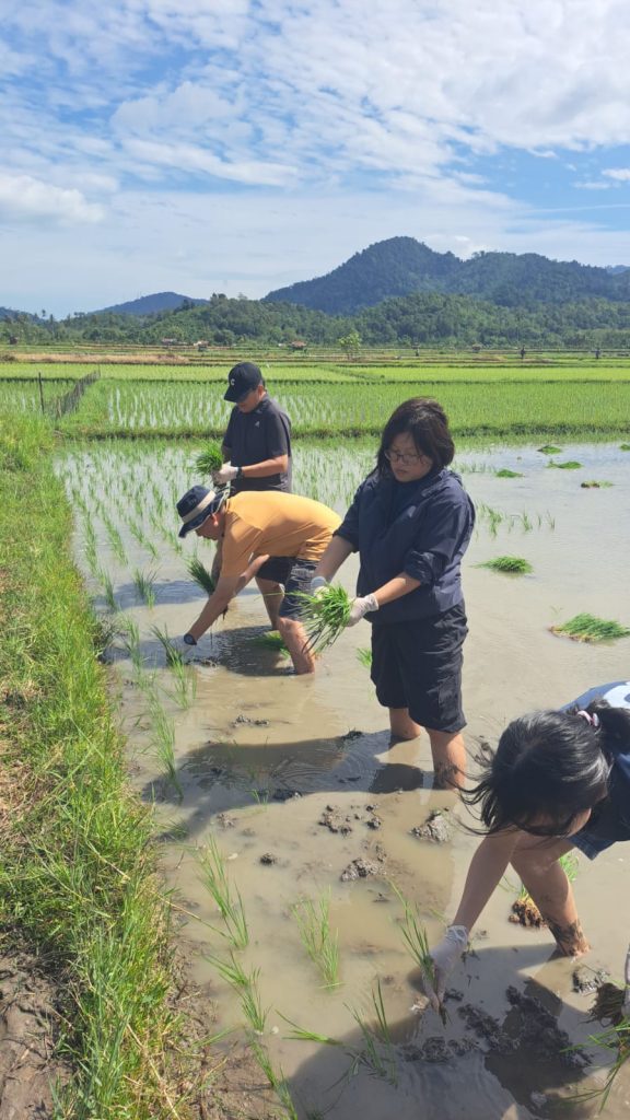 whatsapp image 2025 10 14 at 20.09.11 (2)