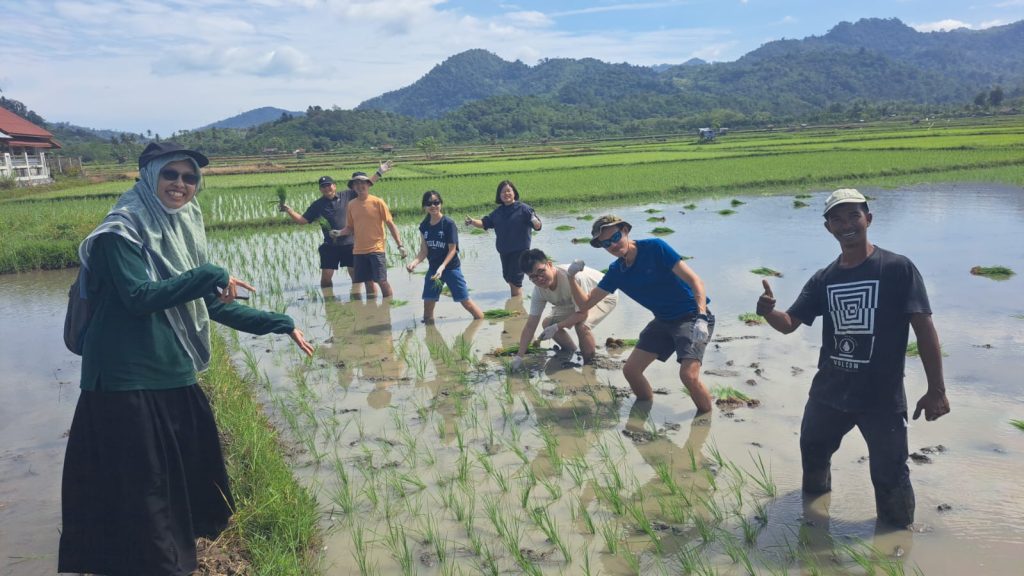 whatsapp image 2025 10 14 at 20.09.12